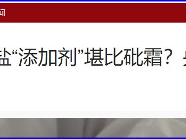 第七辑 第四章 中国真的不存在特供盐吗？